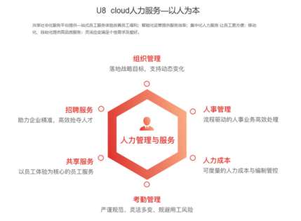 戒赌成功的人财务软件在房地产行业的应用